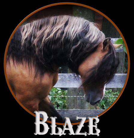 Blaze head1 Blaze head1