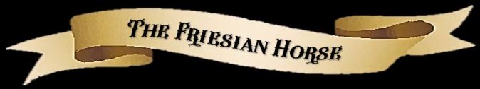 Friesian Horse ribbon