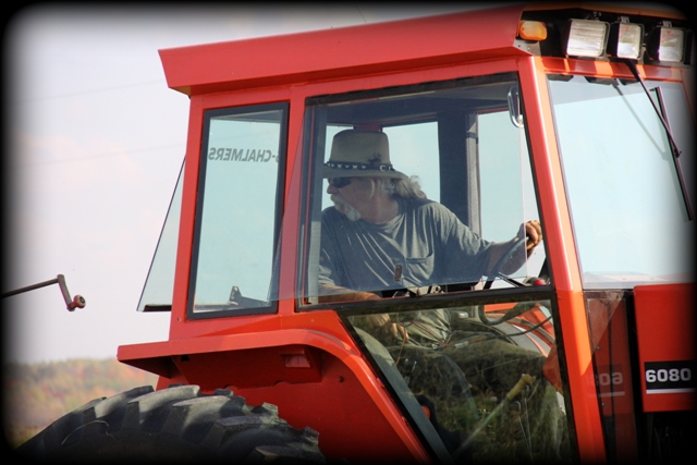 Hay making1