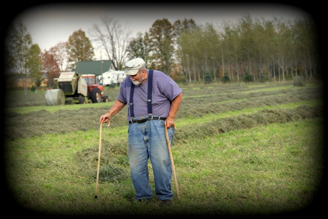 Making hay Dad