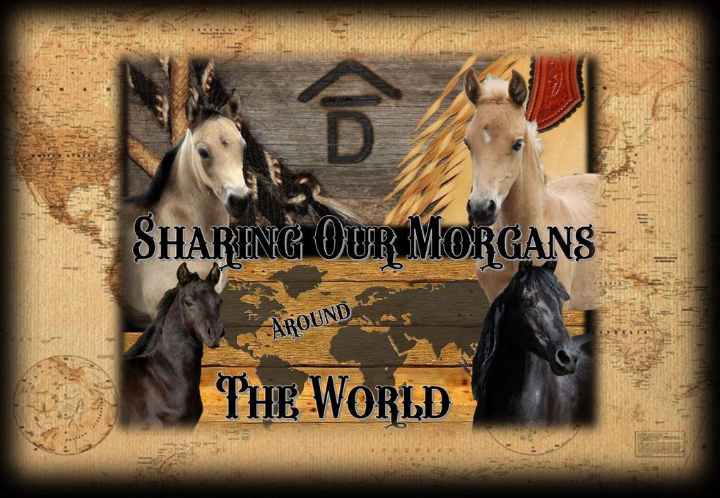 Page header Sharing Morgans