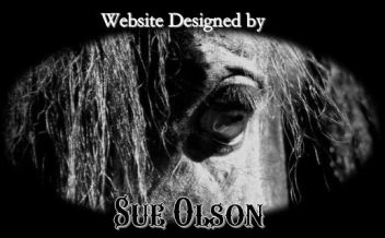 Web design by Sue1