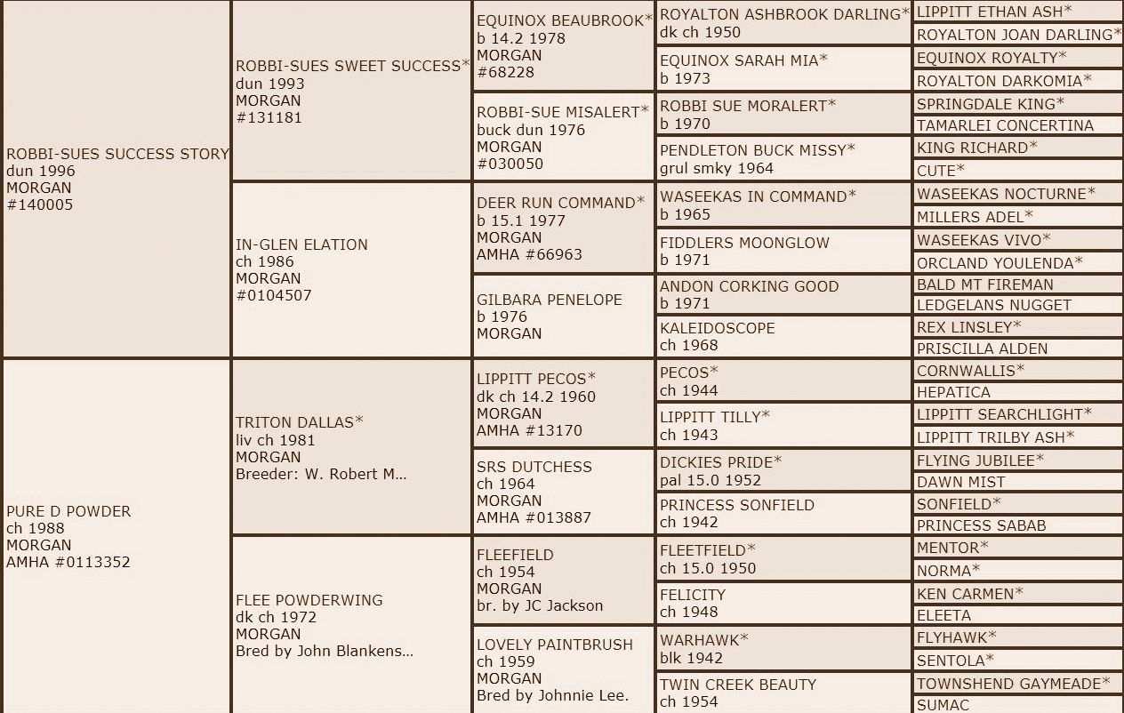 Pedigree Adobe.JPG2 Pedigree Adobe.JPG2