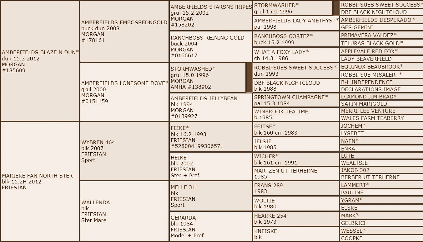 Pedigree Callista.JPG2