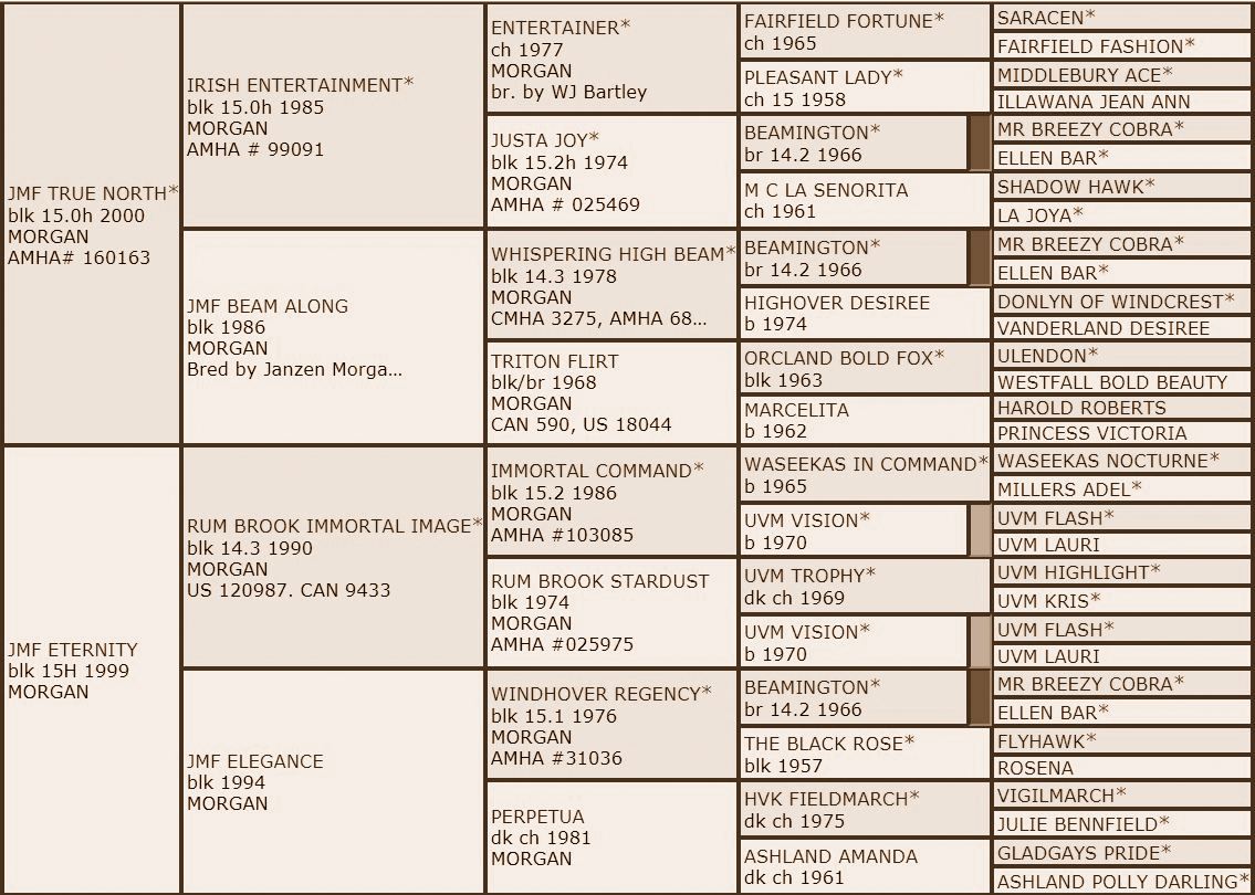 Pedigree Gabs.JPG2