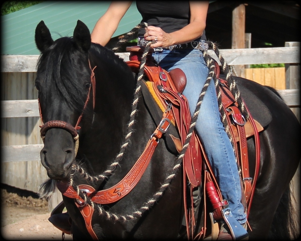 Victoria ride Victoria ride