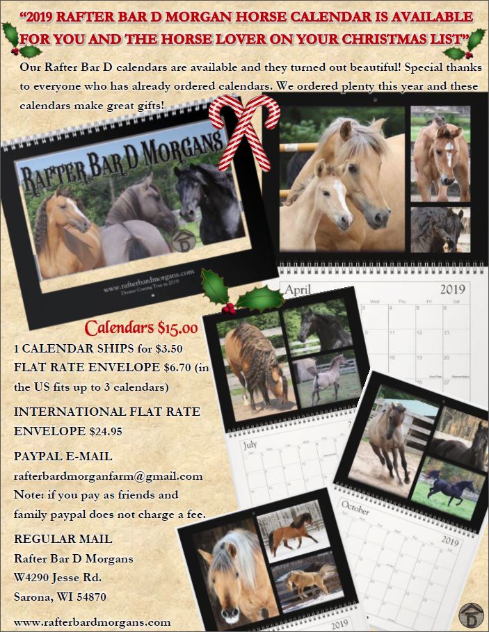 2019 Calendar flyer 2019 Calendar flyer