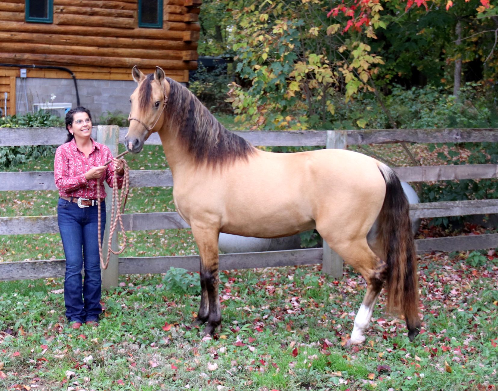 Arion 2 yr. 4 - Copy