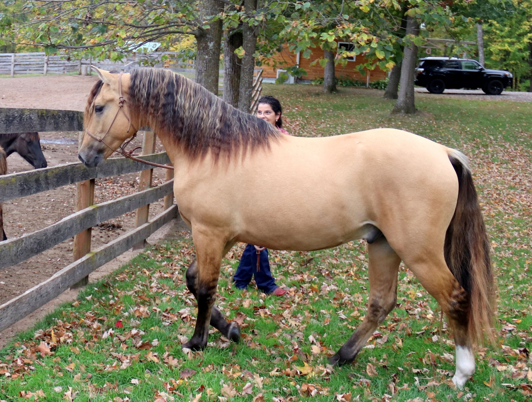 Arion 2 yr. 7 - Copy