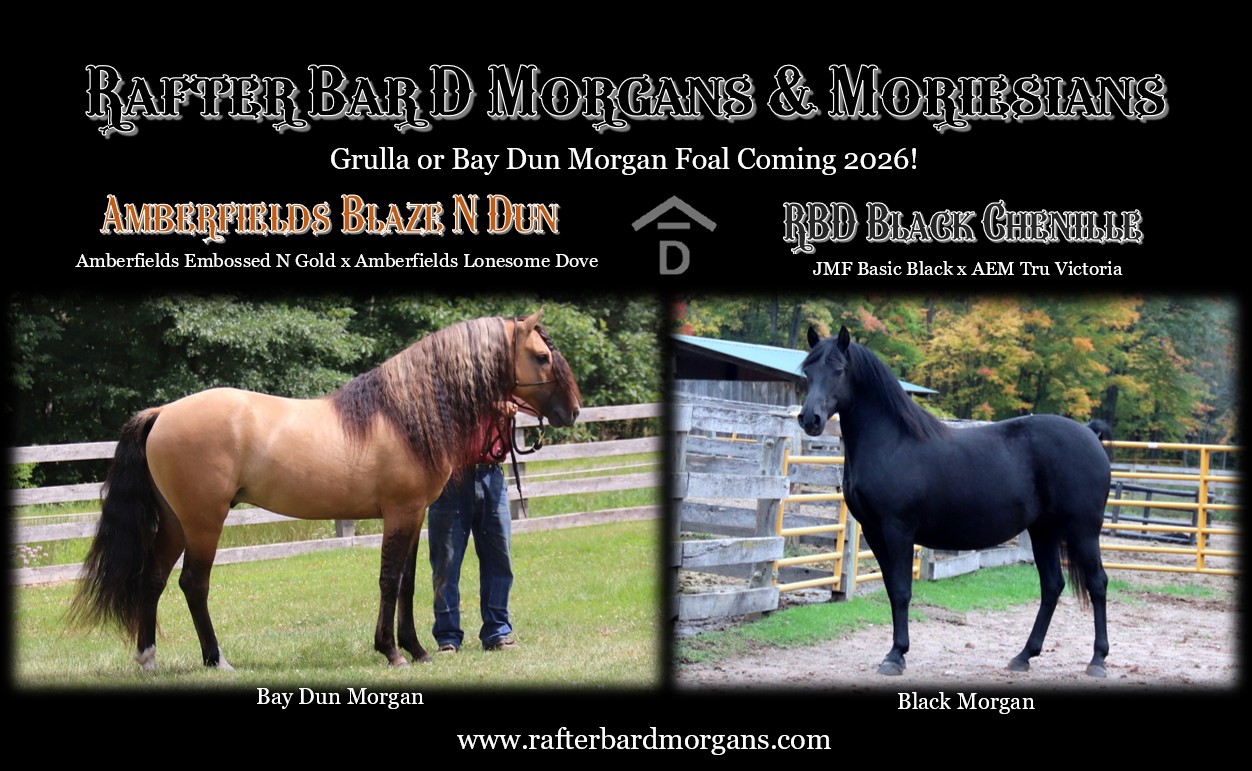 Blaze x Chenille 2026