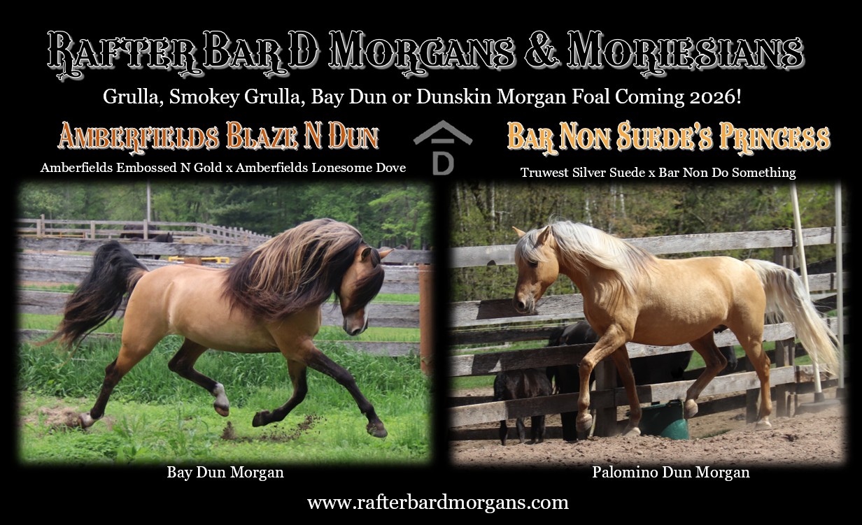 Blaze x Princess 2026