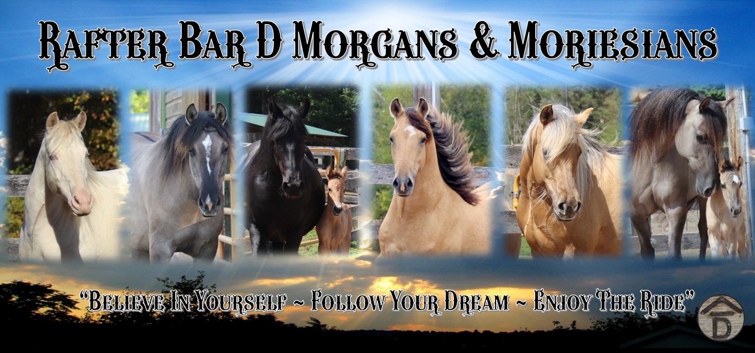 Rafter Bar D Morgans